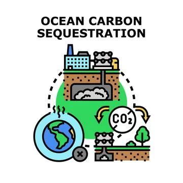 Ocean carbon sequestration helping climate change mitigation Stock Illustration
