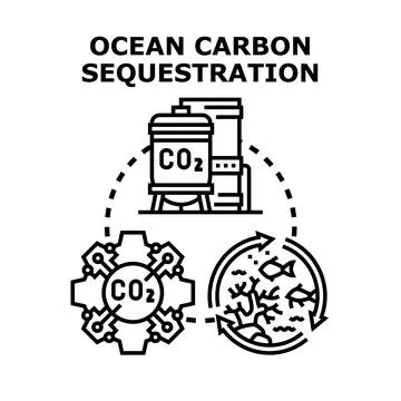 Ocean carbon sequestration process storing atmospheric co2 Stock Illustration