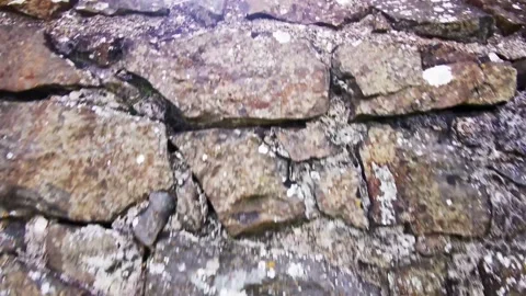 Ocean castle sheep revealing from window Stock Footage 200772857
