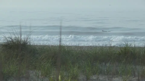 Ocean city nj surfer Stock Footage 24794099