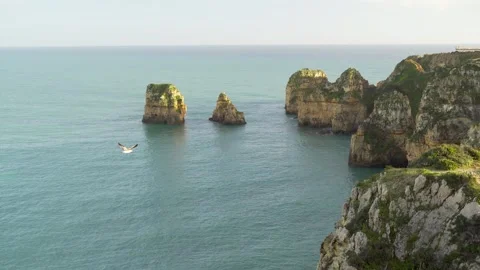 Ocean with cliff formations and birds flying Stock Footage 273674601