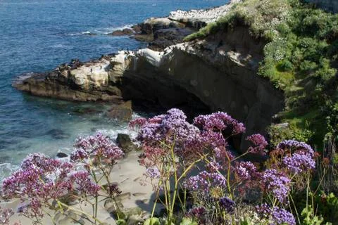 Ocean Cliff Landscape Stock Photos
