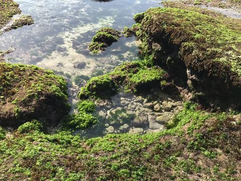 Ocean cliff Stockfoto's