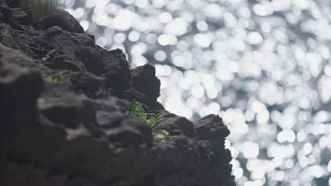 Ocean cliff water blur reflection, Mauritius. 스톡 동영상 143942329