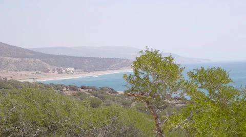 Ocean coasline, tree 스톡 동영상 64826493