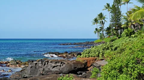 Ocean coast background Stock Footage 48317745
