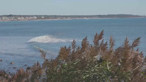 Ocean Coast Stock Footage 134741902