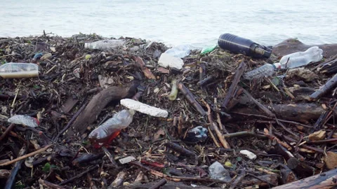 The ocean coast polluted with plastic garbage. Stock Footage 252992357