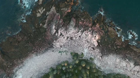 Ocean coastline with tree top down 4k Video stock 248196847