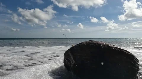 Ocean Coconut In High Tides Stock Footage 214471270