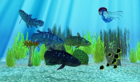 Ocean Coelacanth Fish Stock Illustration