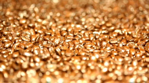 An ocean of coffee beans Stock Footage 311359