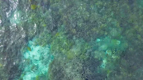 Ocean with coral top view Stock-Footage 136503101