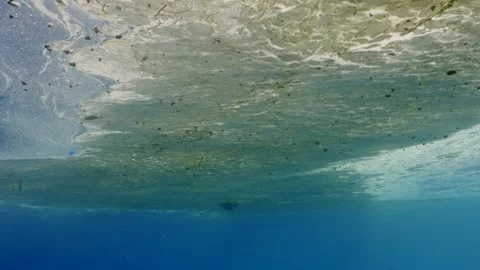 Ocean covered with layer of fat and plastic debris, Slow motion Stock Footage 246357746