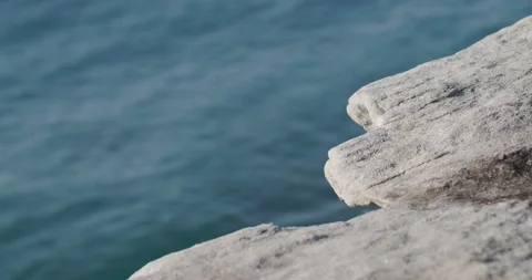 Ocean cutaway Stock Footage 197738091