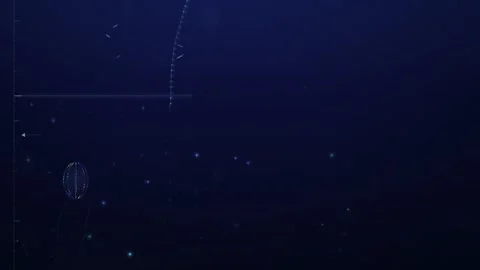 Ocean Depth Zones Descent Surface to Abyss Cross Section Animation Stock-Footage 346828282
