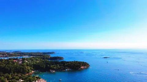Ocean descend with forest coast line Video stock 313504002
