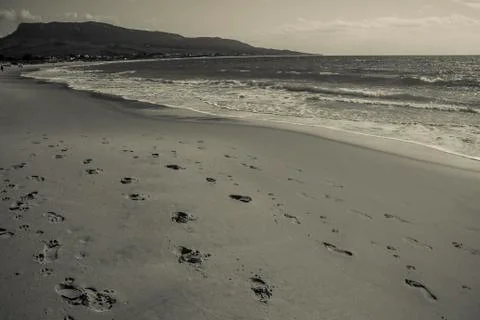 Ocean desert footprints Stock Photos