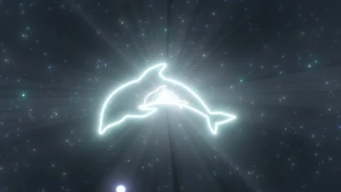 Ocean Dolphin Aquatic Creature Shape Outline Glow Neon Lights Tunnel Stock Footage 171900554