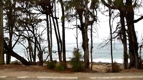 Ocean Drive Stock Footage 105196558