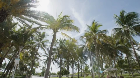 Ocean Drive Miami Beach 3 Video stock 104018488
