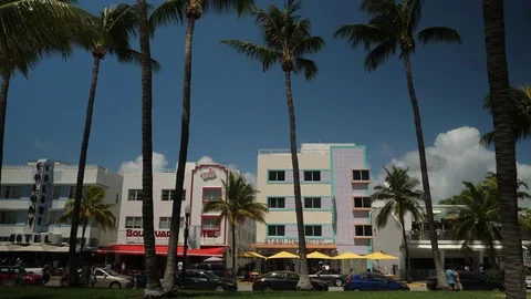 Ocean Drive with palm trees, Miami Beach. Stock Footage 81041966