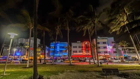 Ocean Drive Palms Timelapse Vidéo 88195507