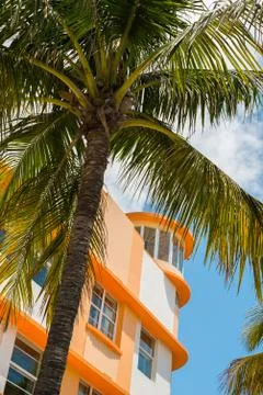 Ocean drive Stock Photos