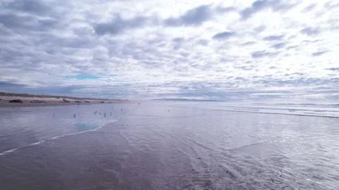 Ocean Dunes. Stock Footage 192714702