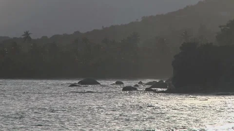 Ocean dusk rocks palm trees Video stock 30985876