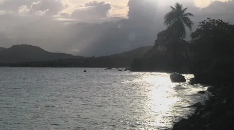 Ocean dusk rocks palm trees wideshot Stock Footage 30987694