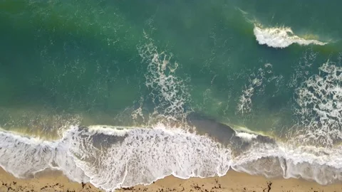 Ocean Edge Stock Footage