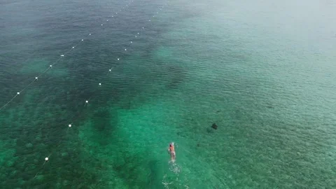 Ocean Elegance: Aerial Dance with Stingrays in Crystal Clear Waters 스톡 동영상 261205297