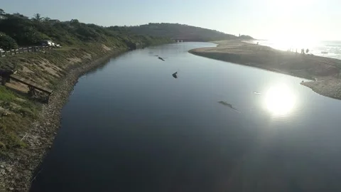 Ocean Estuary Stock Footage 134675876