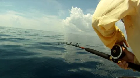 Ocean Fishing Stock Footage 8913650