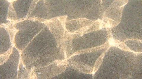 Ocean Floor Stock Footage 725648