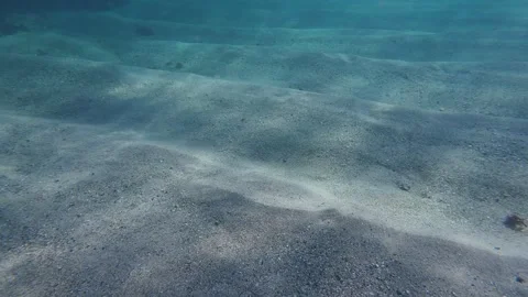 Ocean floor Stock Footage 319353666