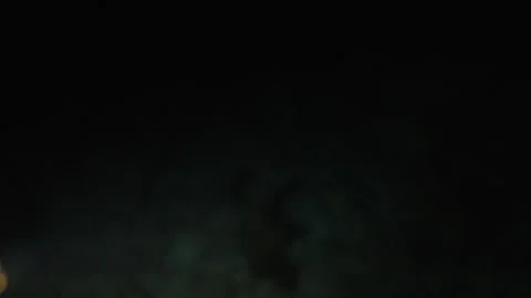 Ocean Floor at Night in Belizean Waters Stock Footage 306501657