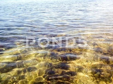 Ocean floor Stock Photos