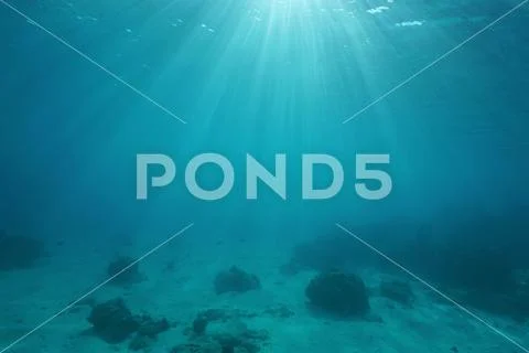 Ocean floor with sunlight through water surface Stock Photos