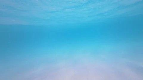 Ocean Floor Underwater Stock Footage 317837766
