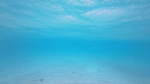 Ocean Floor Underwater Stock Footage 317837768