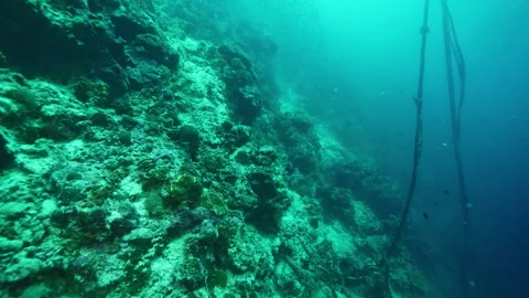 Ocean floor with unique rock formations and corals Stock Footage 281801936