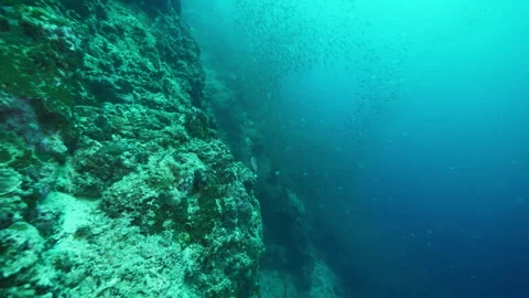 Ocean floor with wall plunging steeply into deep water Stock Footage 283886877