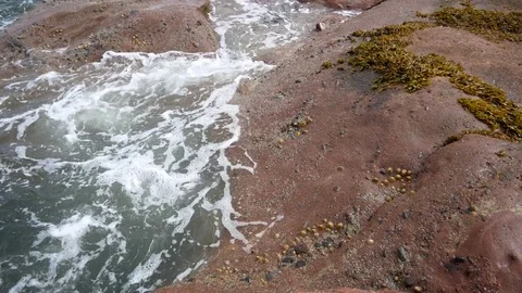 Ocean flows through rocks Stock Footage 79627502