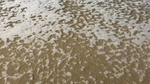 Ocean Foam Receding on Beach Stock Footage 115008018
