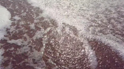 Ocean Foam Texture Loop on Sandy Beach 4K Stock Footage 255939168