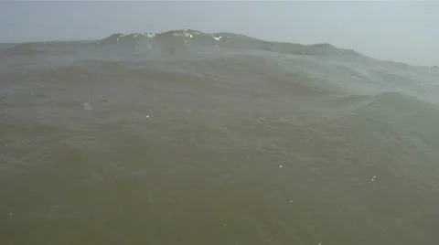 In the Ocean 스톡 동영상 728609