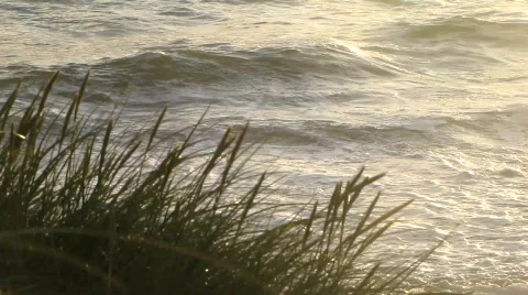 Ocean Stock-Footage 773708