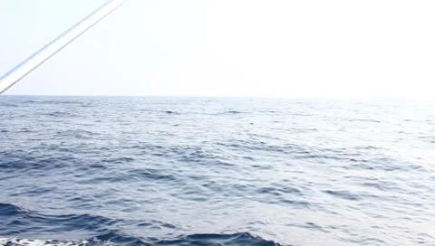 The ocean Stock Footage 8425741